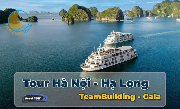 Tour Hà Nội - Hạ Long 3 ngày 2 đêm - Teambuilding - Gala Dinner